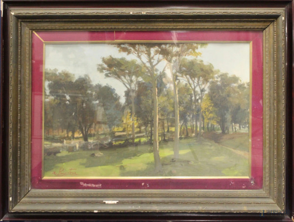 Antonio Privitera - Paesaggio con alberi, olio su cartone 40x65 cm, entro cornice.