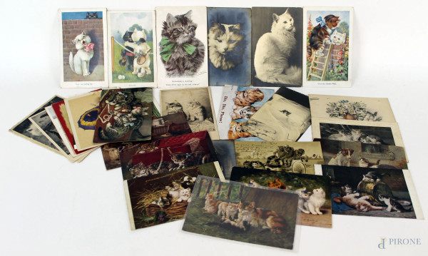 Lotto di n.30 cartoline raffiguranti vari animali, (difetti e macchie).