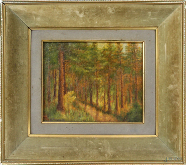 Paesaggio boschivo, olio su tavola, cm 20x24, firmato G.Bocchetti, entro cornice.