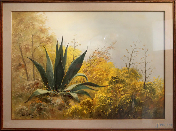 Guido Odierna - Paesaggio con agave, olio su tela, cm 71 x 101, entro cornice.