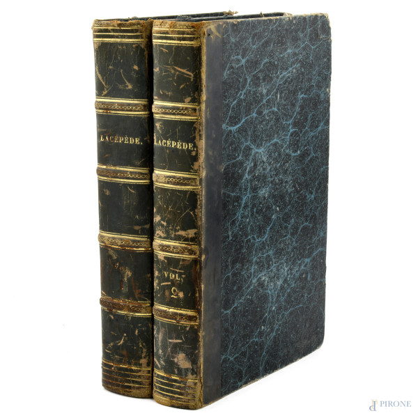 Histoire Naturelle de Lacepede, 2 voll., Parigi 1839, (segni di usura, bruniture, tracce di umidità, difetti alla rilegatura, segni di usura, strappi)
