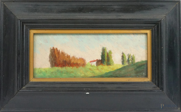 Viale alberato con casolare, olio su cartone, cm 10x23, firmato a tergo, entro cornice.