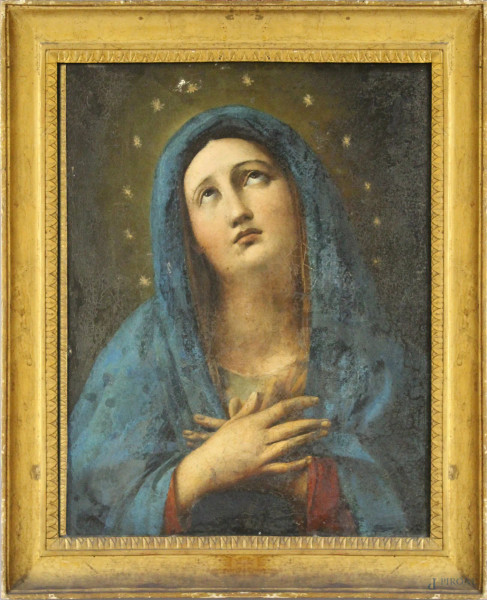Madonna, olio su tela, XVIII sec., cm 64 x 51, entro cornice coeva.