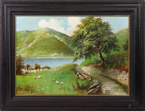 Paesaggio lacustre con pastore e gregge, olio su tela, cm 61x101, firmato, entro cornice