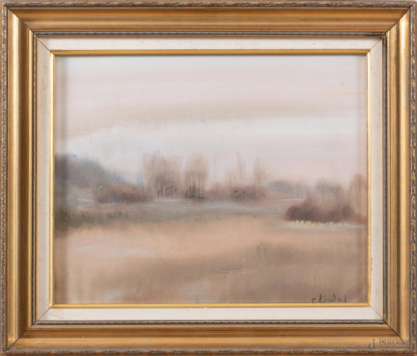 Paesaggio, XX secolo, pastello su carta, cm 28x35, firmato in basso a destra, entro cornice, (lievi segni di usura e tracce di umidità)