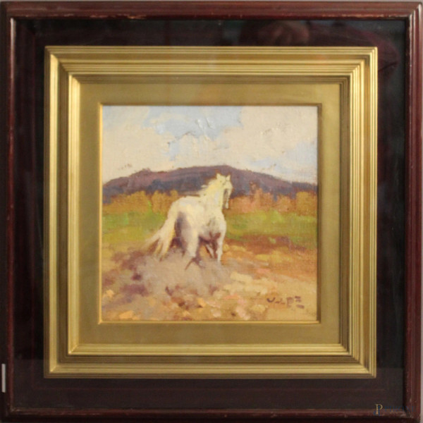 Angiolo Volpe - Cavallo, olio su tela, cm 30 x 30, entro cornice.