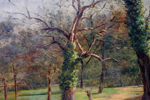 Paesaggio boschivo, XIX-XX secolo, olio su tela, cm 48,5x75,5, firmato in basso a sinistra