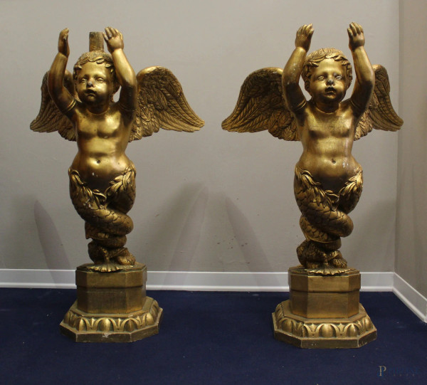 Putti alati in legno dorato, h.75 cm.