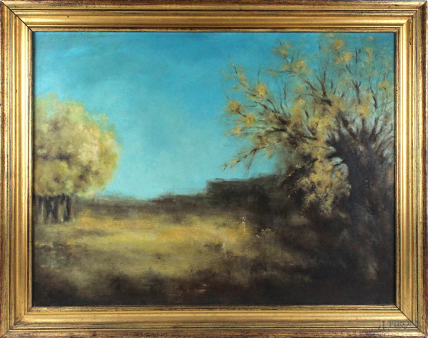 Paesaggio con alberi, olio su tela, cm. 60x80, XX secolo, entro cornice.