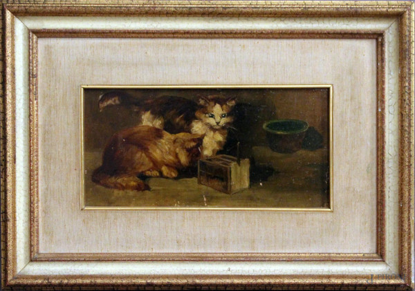 Interno con gattini, olio su tavola, primi &#39;900, cm 12 x 25, entro cornice.