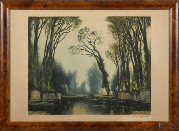 Stagno nel bosco, litografia a colori, XX secolo, cm 54x77, entro cornice