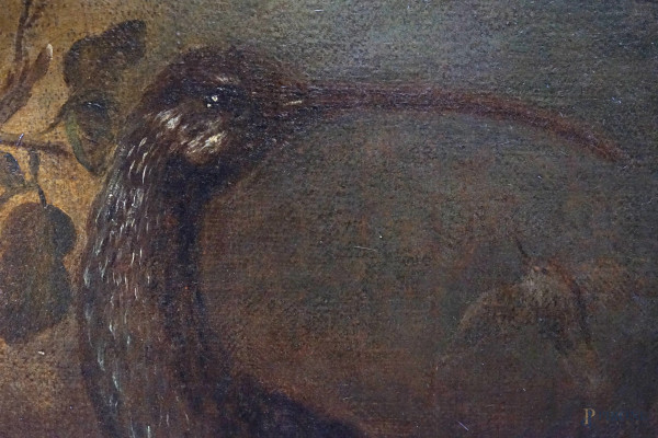 Scuola dell'Italia settentrionale del XVII secolo, Ibis, ghiandaia e pettirosso entro un paesaggi...