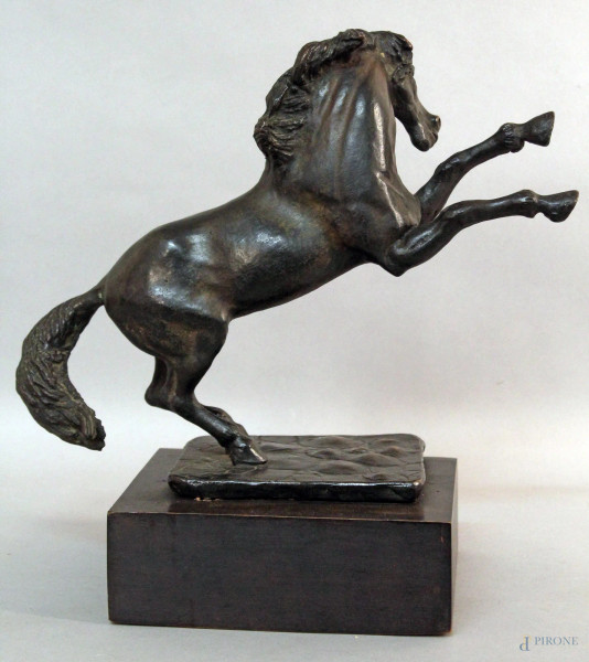 Cavallo rampante, scultura in bronzo, base in legno, firmato Antonio Cotigni, h. 58 cm.