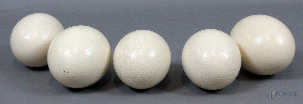 Cinque uova di struzzo, altezza max cm. 16 (difetti, uno presenta rottura).