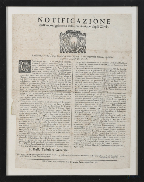 Notificazione sull'incoraggimento della piantazione degli olivi, Roma 1788, cm 46x35, entro cornice,  (segni di usura, tracce di umidità, ondulazioni, iscrizioni ad inchiostro, foxing, lacune e lacerazioni, difetti)