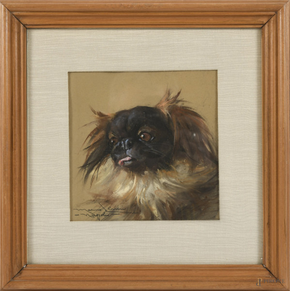 Marino Lenci, Cane, XX secolo, pastello su carta, cm 17x17, firmato in basso a sinistra e iscritti "Napoli" (ondulazioni della carta)