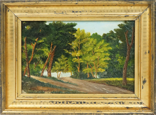 Viale alberato, olio su tavola, cm 22x33, firmato, entro cornice