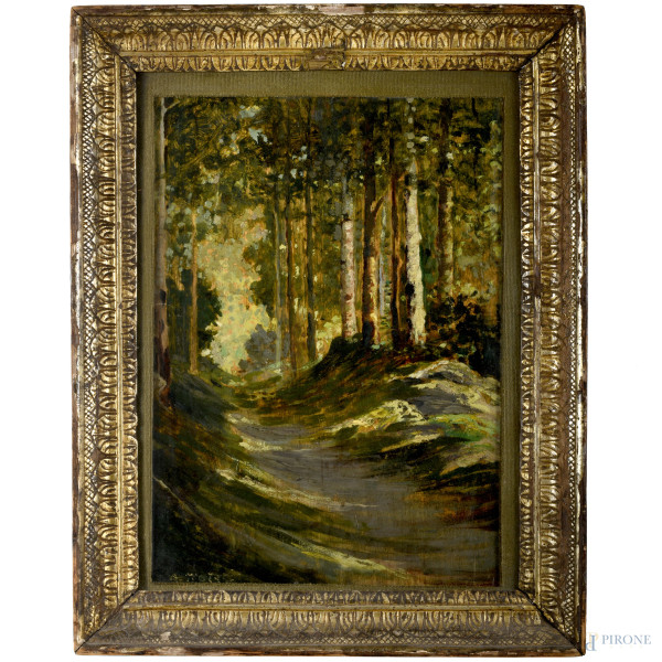 Sentiero nel bosco, olio su tavola, cm 51x34, entro cornice