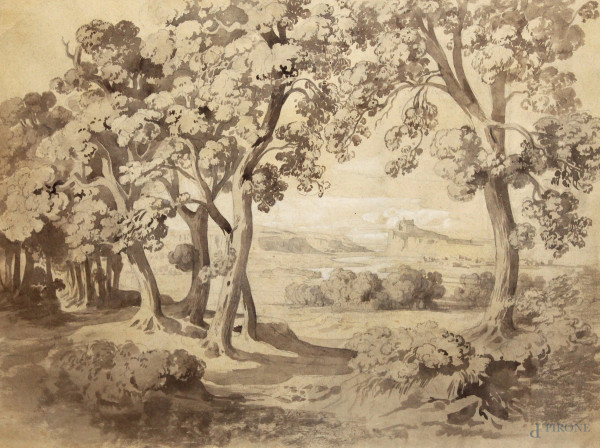 Scorcio di bosco, disegno monocolore  su carta, cm 42x63, entro cornice.