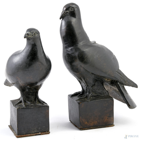 Ennio Tomai, (1896-196919) Coppia di sculture raffiguranti piccioni in bronzo,  firmati alla base, misura massima cm 33,5x17x25 circa, (segni di usura, scalfiture della patina)