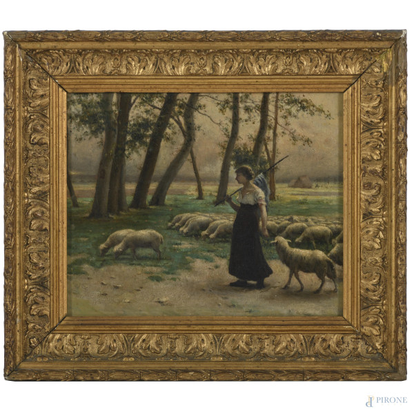 Pastorella con gregge, olio su tela, XIX secolo, cm 20x25 entro cornice