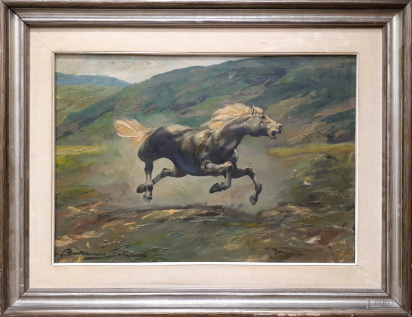 Bartolomeo Sala (XX secolo), Cavallo imbizzarrito, olio su tela, cm 50x70, firmato, con cornice