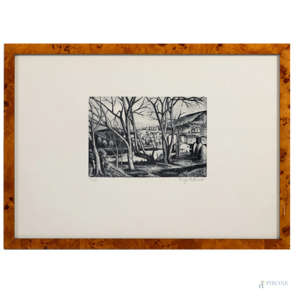 Diego Pettinelli (1897-1989), Case nella valle, xilografia, es. XIV/XX, cm foglio cm 40x50,  firmata in basso a destra, entro cornice