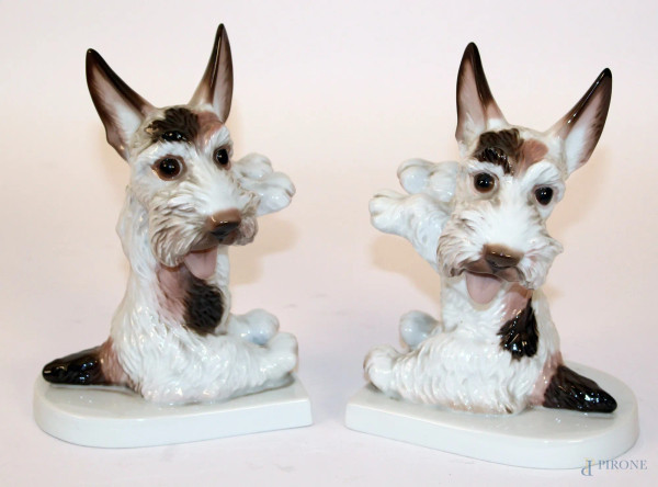 Coppia di fermalibri a soggetti di cagnolini in porcellana Rosenthal, h. 19 cm