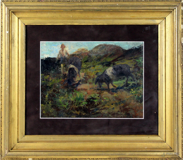 Paesaggio con pastorello e armenti, olio su cartone, cm. 25x33, a firma Beppe Ciardi, entro cornice.