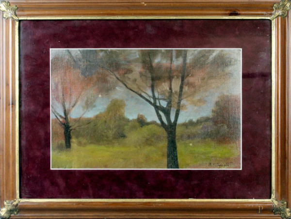 Paesaggio con alberi, olio su tela riportata su cartone, cm. 27x43, firmato A. M. Simonetti, entro cornice.