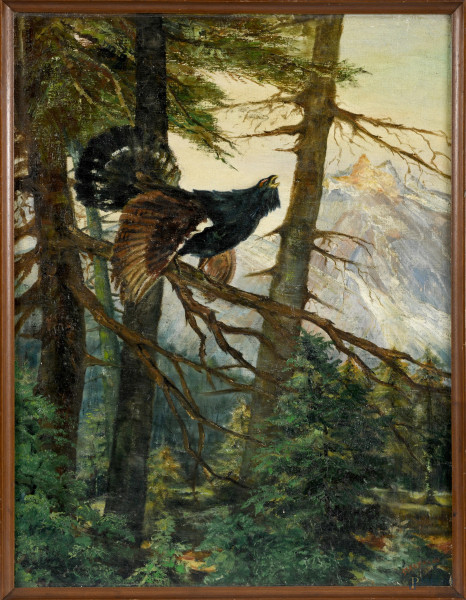 Gallo cedrone, olio su tela, XX secolo, cm 61x46 entro cornice