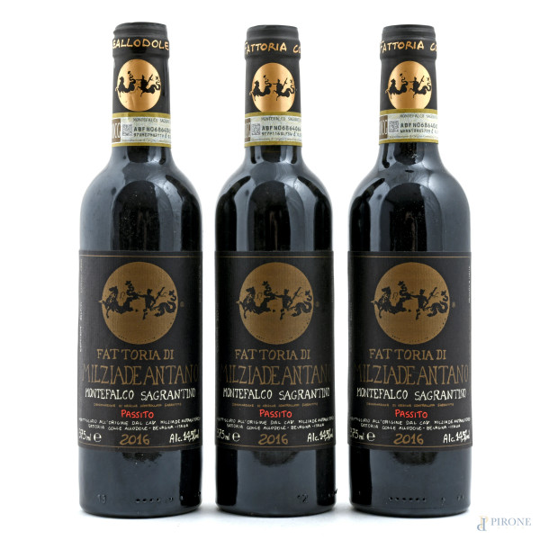 Sagrantino di Montefalco Passito DOCG, Fattoria Colleallodole Milziade Antano, 2016