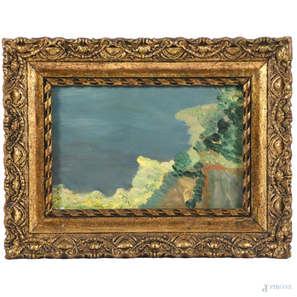 Scorcio di costa, XX secolo, olio su cartone, cm 24x35, entro cornice