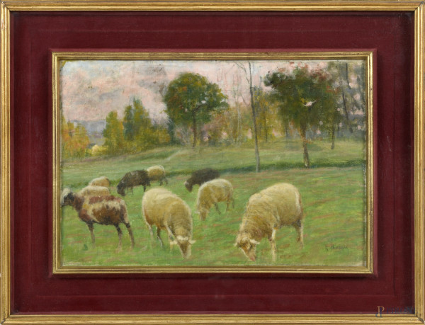 Pecore al pascolo, olio su ,tela applicata su compensato, cm 32x47, entro cornice, firmato in basso a destra, (difetti)