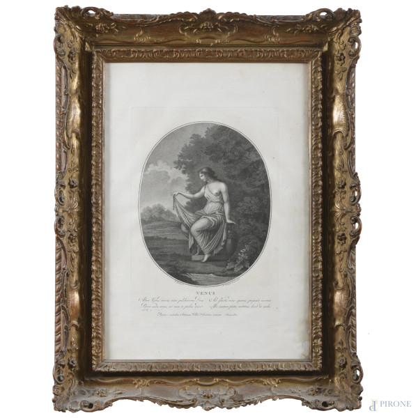 Venus, XIX-XX secolo, incisione su carta, cm 56x39, entro cornice, (segni di usura, lacerazioni, tracce di umidità, foxing, gore)