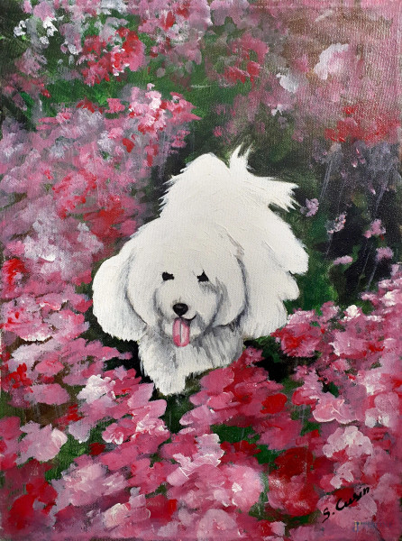 Il cane in giardino, olio su tela, cm 30x40, firmato