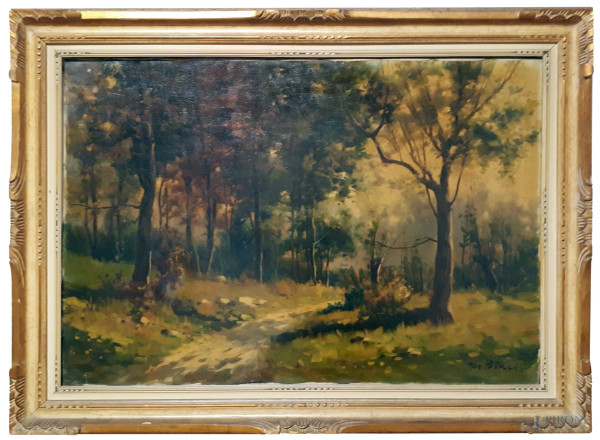 Angelo De Biasi - Paesaggio boschivo con sentiero, grande dipinto ad olio su tela, cm 80x120, firmato, entro importante cornice coeva