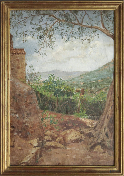 Veduta dei castelli romani, dipinto ad olio su cartone telato, cm 35 x 24, primi 900, entro cornice.