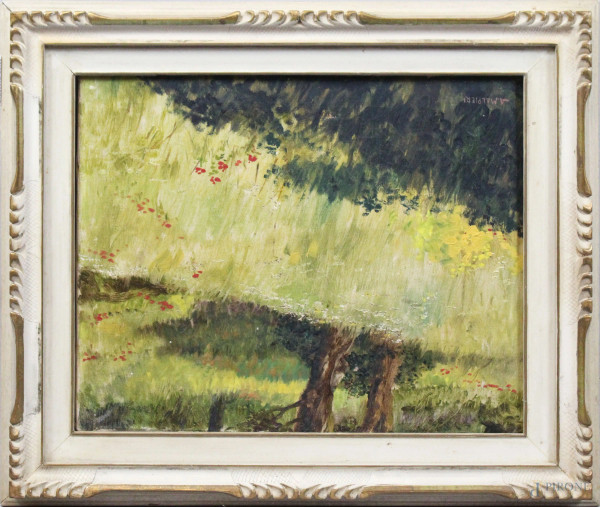 Arnaldo Malpieri - Prato con fiori, dipinto ad olio su tela, cm 40x49,5, entro cornice