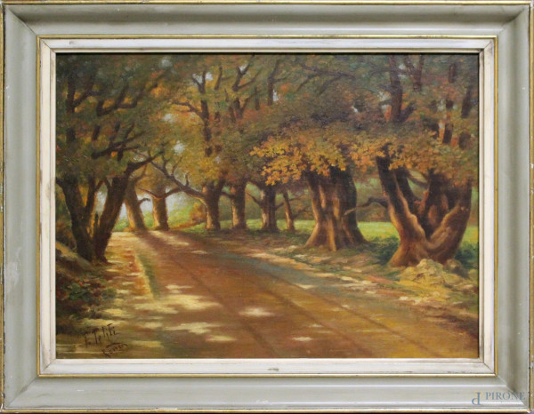 Sentiero boschivo, olio su tavola firmato F. Petiti, cm 27 x 37.