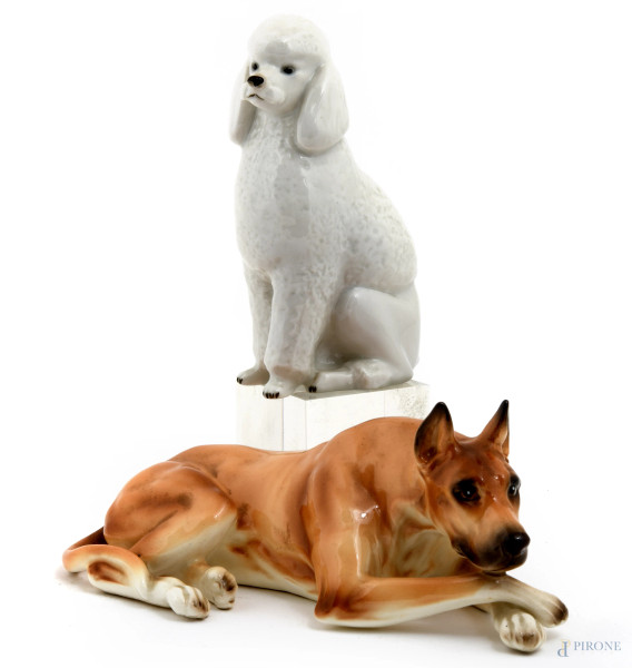 Gruppo in porcellana raffiguranti cani, XX secolo, altezza cm 15, (lievi difetti)