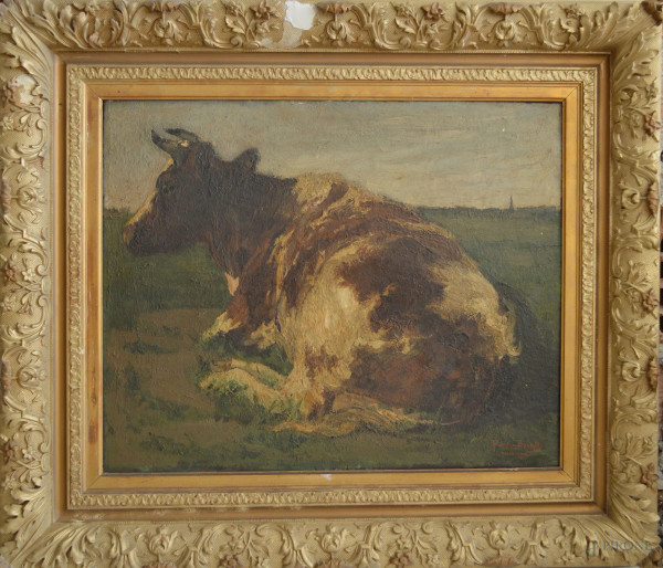 Mucca, olio su tavola 57x73 cm, entro cornice firmato, fine XIX sec, (difetti alla cornice).