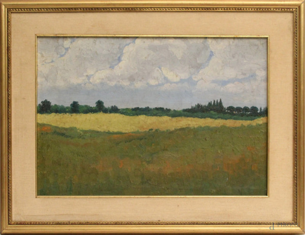 Paesaggio campestre, olio su tela, cm. 35x50, entro cornice.