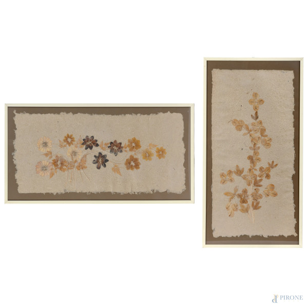 Coppia di composizioni floreali, XX secolo, fiori essiccati su carta, cm 70x36 circa, entro cornice