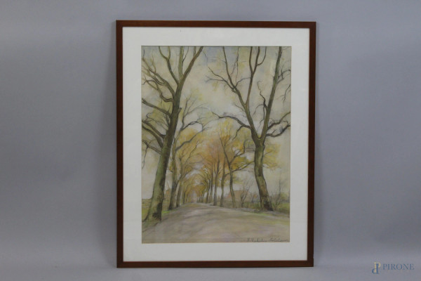 Viale con alberi, acquarello su carta, cm 59x44,5, firmato Kachura Falileeva, entro cornice