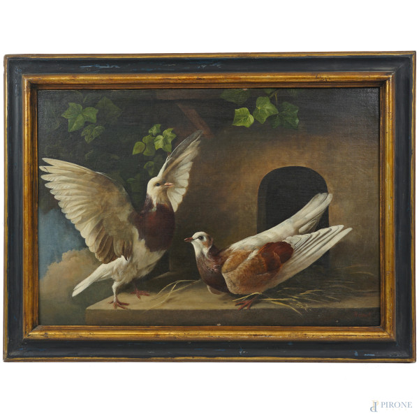 John Bucknell Russell (1819-1893), Due colombi, olio su tela, firmato in basso a destra, cm 44x62, entro cornice