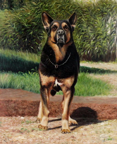 Ritratto di cane, olio su tela, cm 60x50, XX secolo.