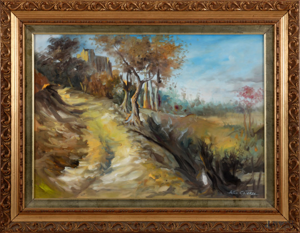 Il sentiero per il borgo, olio su tela, cm 50x69 entro cornice, XX secolo, firmato in basso a destra "Antonio Costanzo", (difetti)