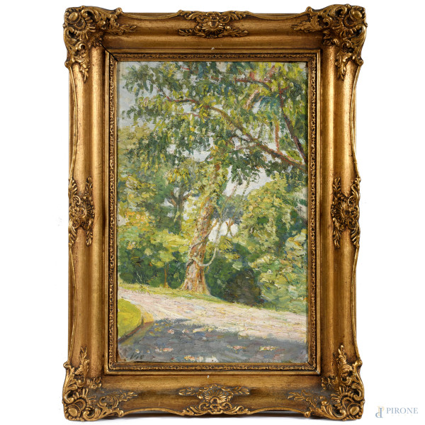 Viale con Alberi, XIX-XX secolo, olio su tavola, cm 41x26, firmato in basso a sinistra, entro cornice, (sollevamenti della tela, cadute di colore)