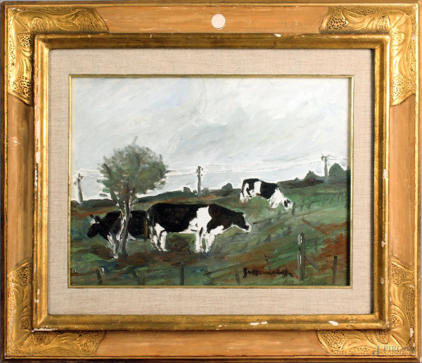 Paesaggio con mucche, olio su tela, cm. 30x40, firmato, entro cornice.